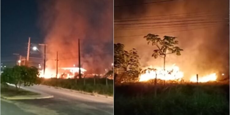 Fogo toma conta de área de vegetação e assusta moradores no Santa Etelvina