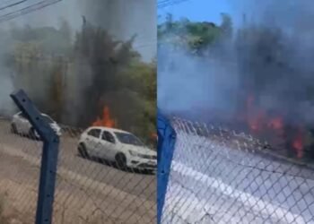 Incêndio se espalha por área de vegetação no Distrito Industrial, em Manaus