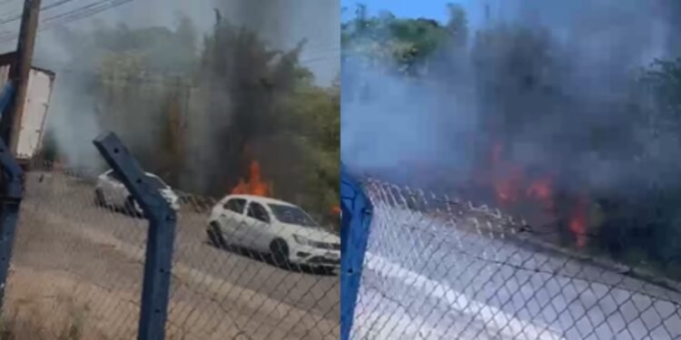 Incêndio se espalha por área de vegetação no Distrito Industrial, em Manaus