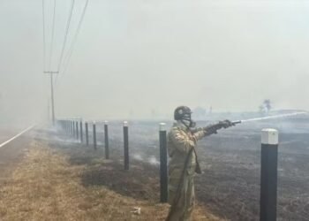 Incêndio florestal na BR-319 mobiliza bombeiros no Amazonas