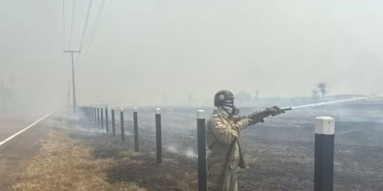 Incêndio florestal na BR-319 mobiliza bombeiros no Amazonas