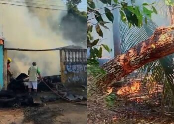 Incêndios atingem Manaus e Itacoatiara neste domingo, 20