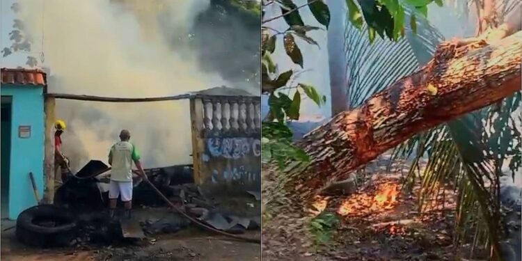 Incêndios atingem Manaus e Itacoatiara neste domingo, 20