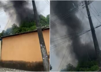 Incêndios são registrados em áreas de mata na Zona Leste de Manaus