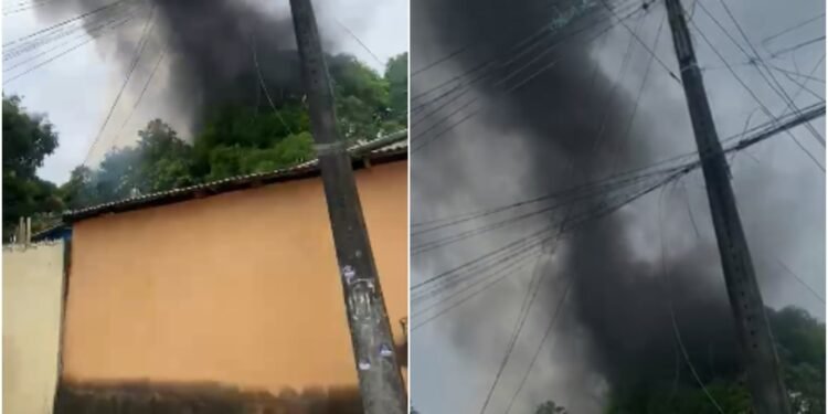 Incêndios são registrados em áreas de mata na Zona Leste de Manaus
