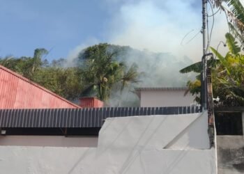 Incêndio atinge área de vegetação seca no bairro da Paz, em Manaus