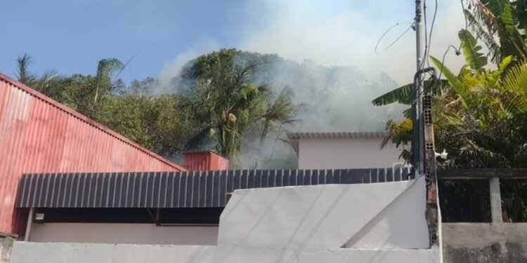 Incêndio atinge área de vegetação seca no bairro da Paz, em Manaus