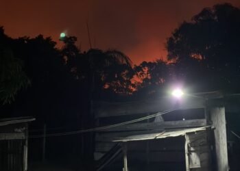 Incêndio avança em área de mata e deixa comunidades em alerta em Manacapuru
