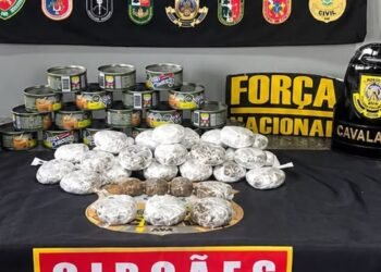 Quase 3kg de haxixe são apreendidos escondidos em latas de atum durante fiscalização em Coari