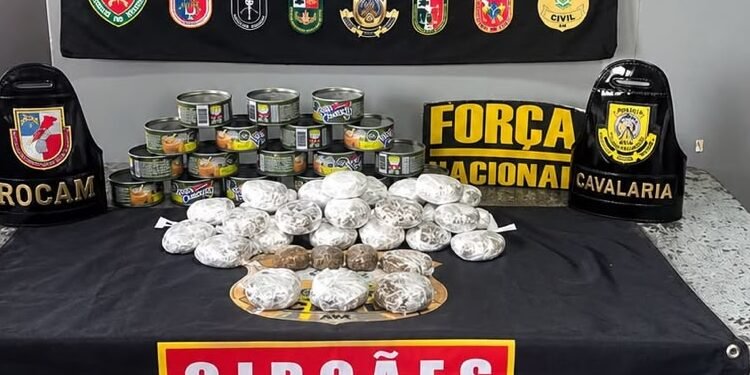 Quase 3kg de haxixe são apreendidos escondidos em latas de atum durante fiscalização em Coari