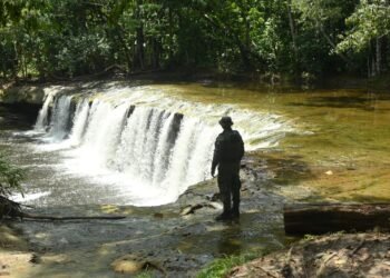 Empresa é multada em R$ 3 milhões por aterro irregular e lançamento de sedimentos no rio Urubu