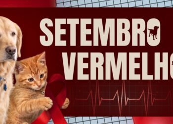 Setembro Vermelho reforça cuidados com a saúde cardíaca de cães e gatos