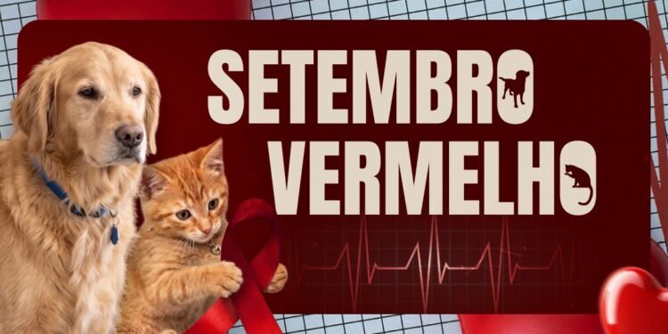 Setembro Vermelho reforça cuidados com a saúde cardíaca de cães e gatos