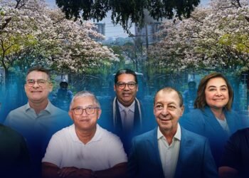Dia da Árvore: arborização aparece de formas diferentes nos planos dos candidatos ao Governo do Amazonas