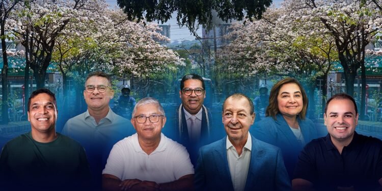 Dia da Árvore: arborização aparece de formas diferentes nos planos dos candidatos ao Governo do Amazonas