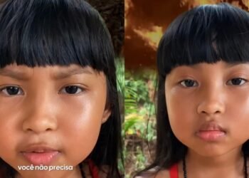 ‘Oncinha do Amazonas’ faz alerta sobre queimadas: ‘Não conseguimos respirar direito’