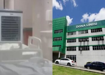 acompanhante-dona-lindu