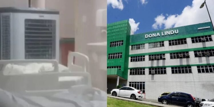 acompanhante-dona-lindu