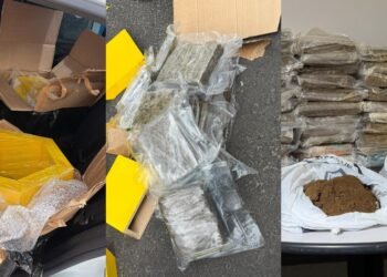 Homem é preso com 56 kg de skunk escondidos em nichos de MDF em Manaus