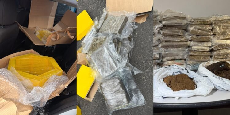Homem é preso com 56 kg de skunk escondidos em nichos de MDF em Manaus