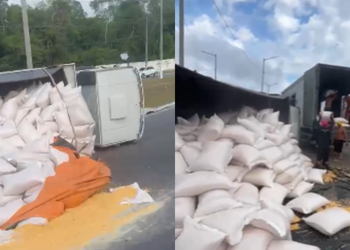 Carga de milho fica espalhada após caminhão tombar no rapidão - (Foto: Reprodução/Redes Sociais)