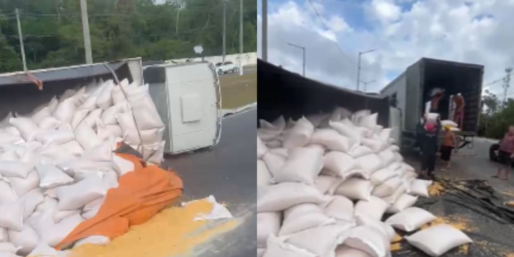 Carga de milho fica espalhada após caminhão tombar no rapidão - (Foto: Reprodução/Redes Sociais)