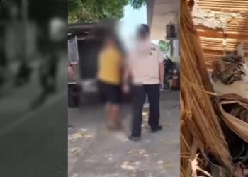 Homens são presos após jogarem gato para cães atacarem no Amazonas