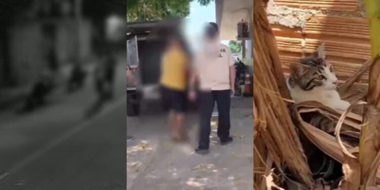Homens são presos após jogarem gato para cães atacarem no Amazonas