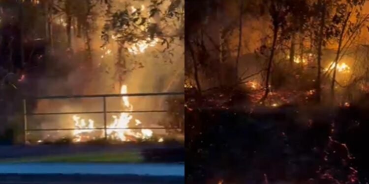 Incêndio atinge área de vegetação na zona Norte de Manaus