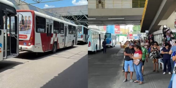 ônibus