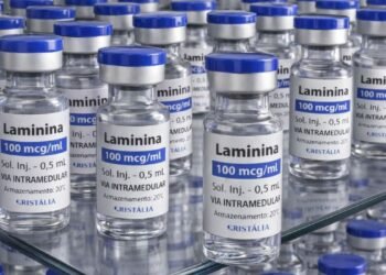 Testes clínicos fase 1 da polilaminina começam este mês