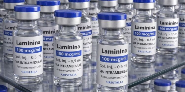 Testes clínicos fase 1 da polilaminina começam este mês