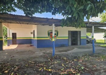 quatel-pm-amazonas