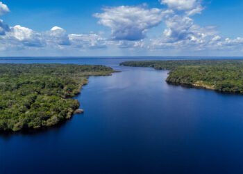 Holanda anuncia US$ 500 milhões em fundo florestal criado pelo Brasil