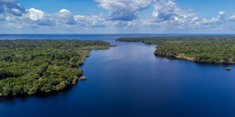 Holanda anuncia US$ 500 milhões em fundo florestal criado pelo Brasil
