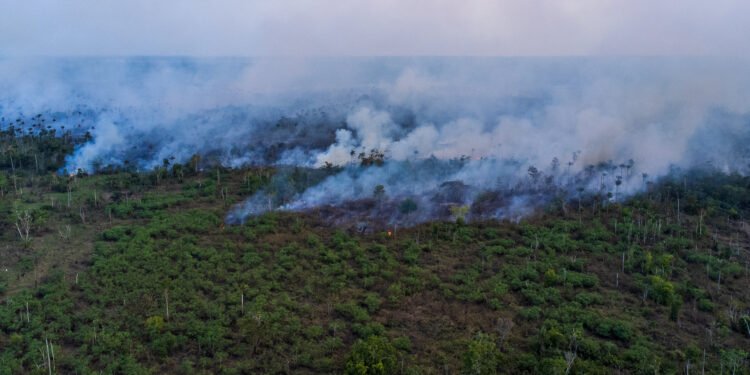 Justiça Federal dá prazo de 10 dias para Governo do Amazonas explicar ações contra queimadas