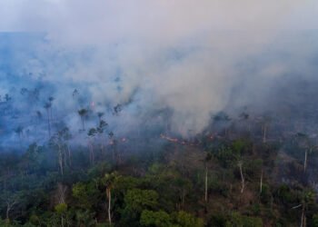 Ministro anuncia investigação sobre suspeita de ação coordenada em incêndios no Amazonas
