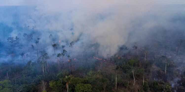 Ministro anuncia investigação sobre suspeita de ação coordenada em incêndios no Amazonas