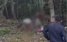 Dupla é presa suspeita de desmatar e atear fogo em área de mata na BR-174, em Manaus