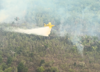 Combate a incêndios no Amazonas soma 1,8 milhão de litros de água e R$ 3,1 milhões em multas