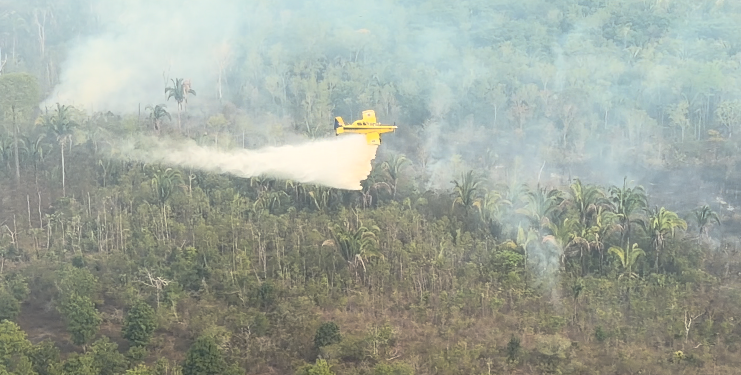 Combate a incêndios no Amazonas soma 1,8 milhão de litros de água e R$ 3,1 milhões em multas