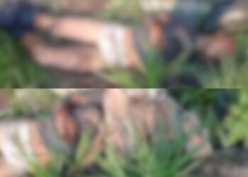 Homem é morto com tijoladas e pauladas após suposto ataque contra crianças no Grande Vitória