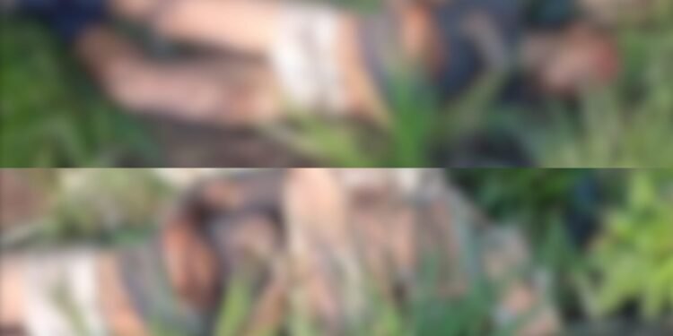 Homem é morto com tijoladas e pauladas após suposto ataque contra crianças no Grande Vitória