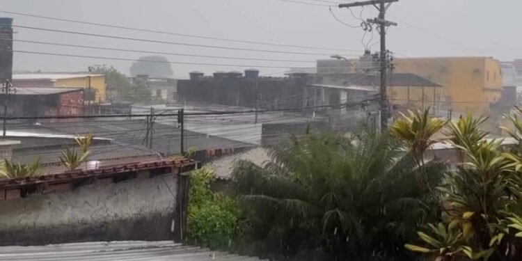Após Manaus registrar pior qualidade do ar do mundo no sábado, chuva ameniza fumaça neste domingo