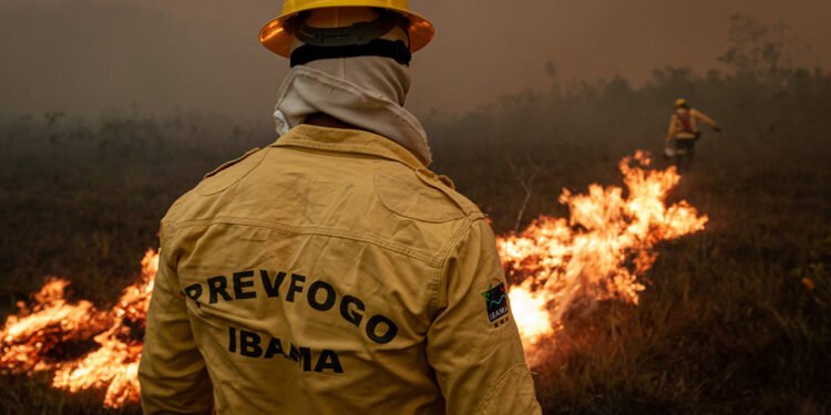 Ibama-Vinícius-Mendonça-Ibama