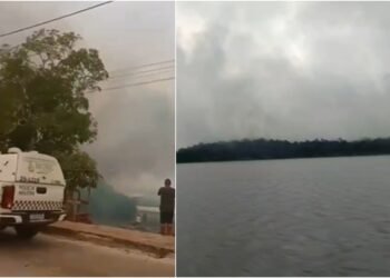 Incêndio atinge área de mata em Caapiranga nesta sexta-feira