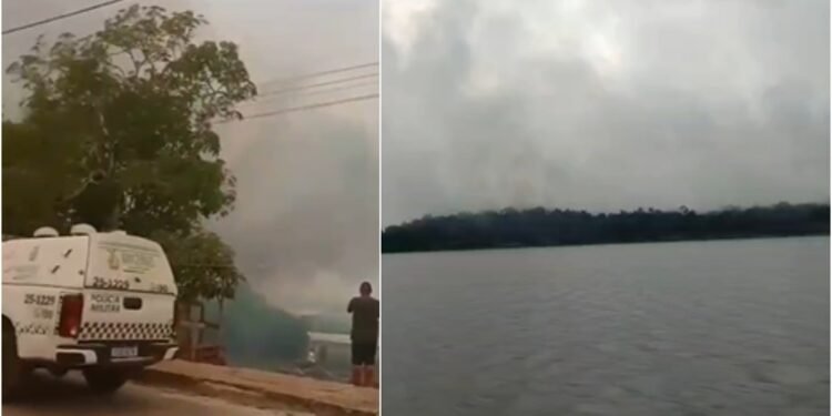 Incêndio atinge área de mata em Caapiranga nesta sexta-feira