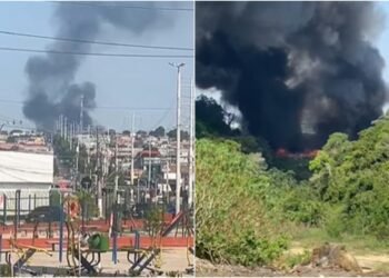 Incêndio de grandes proporções atinge área de mata no Distrito Industrial 2, na zona Leste de Manaus