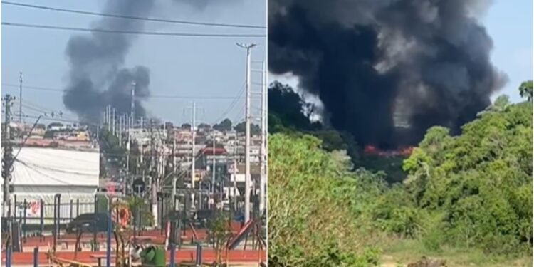 Incêndio de grandes proporções atinge área de mata no Distrito Industrial 2, na zona Leste de Manaus