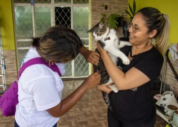 Vacinação antirrábica chega a 15 comunidades ribeirinhas do rio Negro